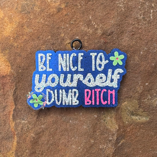 Be Nice to Yourself Dumb B!tch Car Freshie