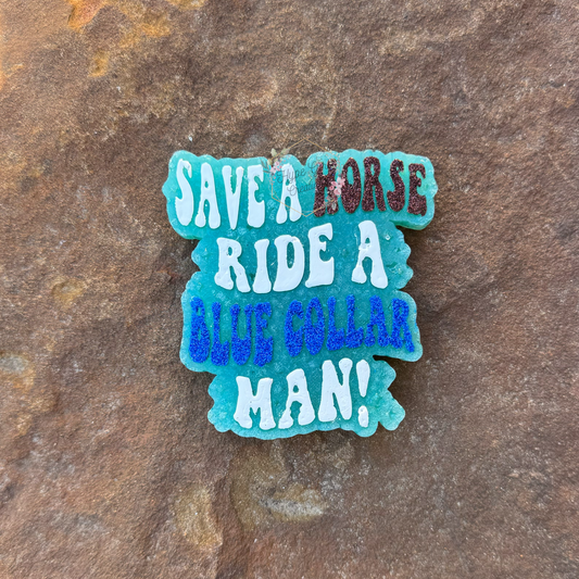Save a Horse Car Freshie
